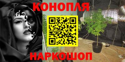 каннабис Новодвинск