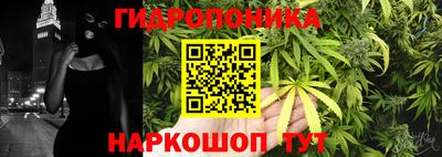 эйфоретик Новозыбков