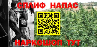 прущие крисы Новокубанск